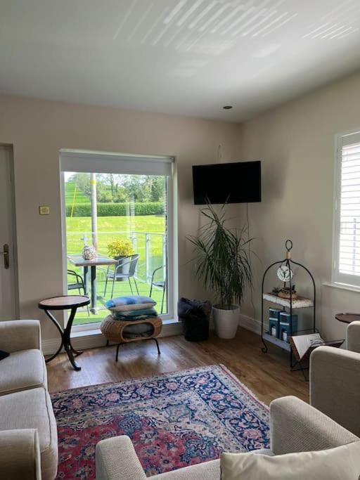 Adorable One Bedroom Apartment With Balcony Newtownards Zewnętrze zdjęcie