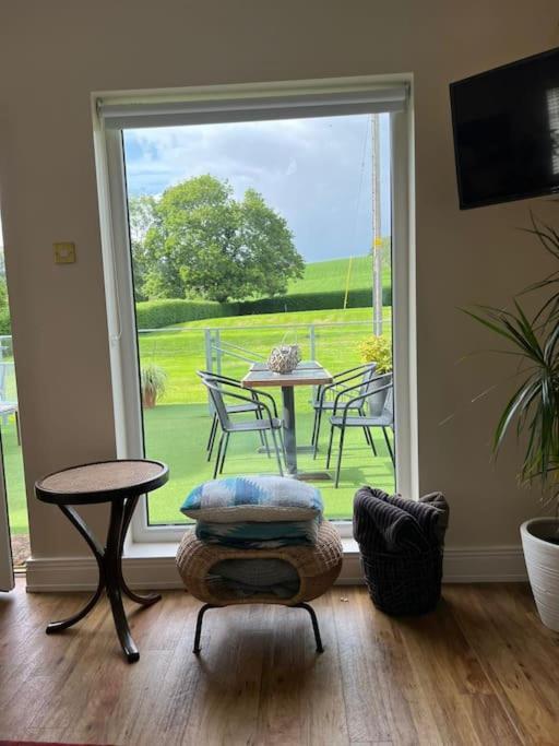 Adorable One Bedroom Apartment With Balcony Newtownards Zewnętrze zdjęcie